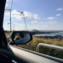 스테이인 우도 | 제주도 우도 여행 2일차 | 성산항 우도 배시간, 렌트카 입도, 우도 여행 코스