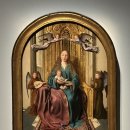 코마시스 이미지