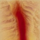 양가적풍경_The  이미지