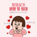 솔보프라자 이미지
