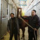 유정목장 이미지