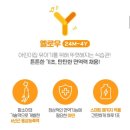 통키통키 | 함소아 홍키통키 프라임 옐로우 솔직 후기 (24개월~4세 홍삼 아연)