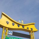 양동쌍학시장 | 양평부추축제 후기