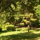 능동공원 이미지