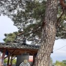 설악골식당 이미지