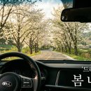 직산-04 | 천안 배꽃 명소 직산 배나무숲 카페, 반려견과 함께 드라이브 떠나요