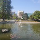 도대1로 이미지