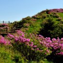 하늘정원 이미지