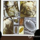 향호1리 이미지