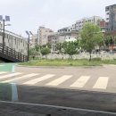 레나플로라
