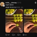 한소리(사-500) | 롭스인사이드 2월 중순 주간 일기 :: 일상 여행 등