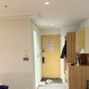 맹그로브 제주시티 | 제주 맹그로브 호텔 오션뷰 4층 크리스마스 숙박 후기