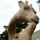 영관농장 이미지