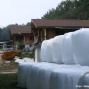 에벤에셀 축사 이미지