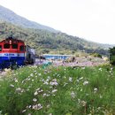 칙칙폭폭 이미지