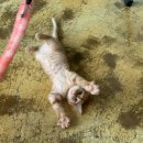 5마일 펜션 이미지