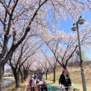 안산의료복지사회적협동조합새안산상록의원 | [부곡동 주간보호센터]우리함께가요, 진심이 느껴지는 맞춤형 돌봄 서비스