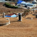 무봉산둘레길 이미지