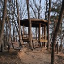 구룡달전로 이미지