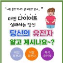 탑점핑&온열다이어트