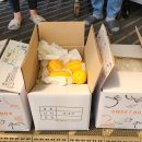 성심맹아원 이미지