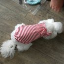 개묭실 이미지