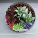 원예 테라리움 이미지