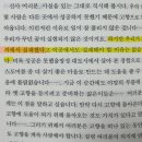 이디스 | 이디스워튼 여름 후기, 표지의 푸릇푸릇한 배경과 대비되는 채리티의 복잡미묘한 심경이 돋보이던 성장소설