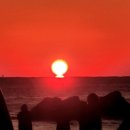 전곡항마리나 이미지