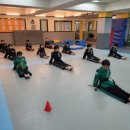 용인대석사특전합기도 이미지