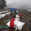 미암농장 이미지