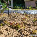 포일농장 이미지