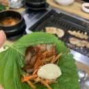 원조쌈밥(창원더시티세븐점) 이미지