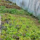 양평펜션 산야로 이미지