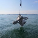 연안목장 이미지