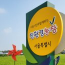 황금텃밭농장