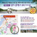 백련유치원 이미지