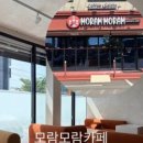 모람모람