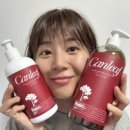 밸런스 바디 디자인 | [ Canleaf ] 캐나다 자연을 담은 퍼퓸 바디케어 켄리프 어텀 머스크 밸런스 바디워시 &amp; 바디로션 솔직 후기