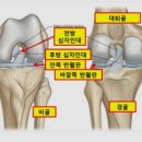 드림정형외과 이미지