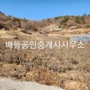 호동리 티스토리