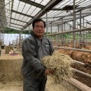 금홍한우3농장 이미지