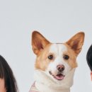 살롱늘솜 이미지