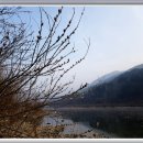 버들민박 이미지