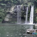 천지연폭포 이미지