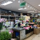 든든한우리집공인중개사사무소 이미지