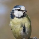 소설로 배우는 영어 이미지