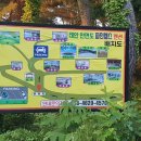 파인웰스