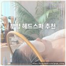 수북 | 인천 부평헤드스파 잘하는 곳 더수북 두피 스케일링 후기