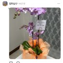 사파동414 | 창원사파동꽃집 “플레르주” 창원 퇴임선물 추천